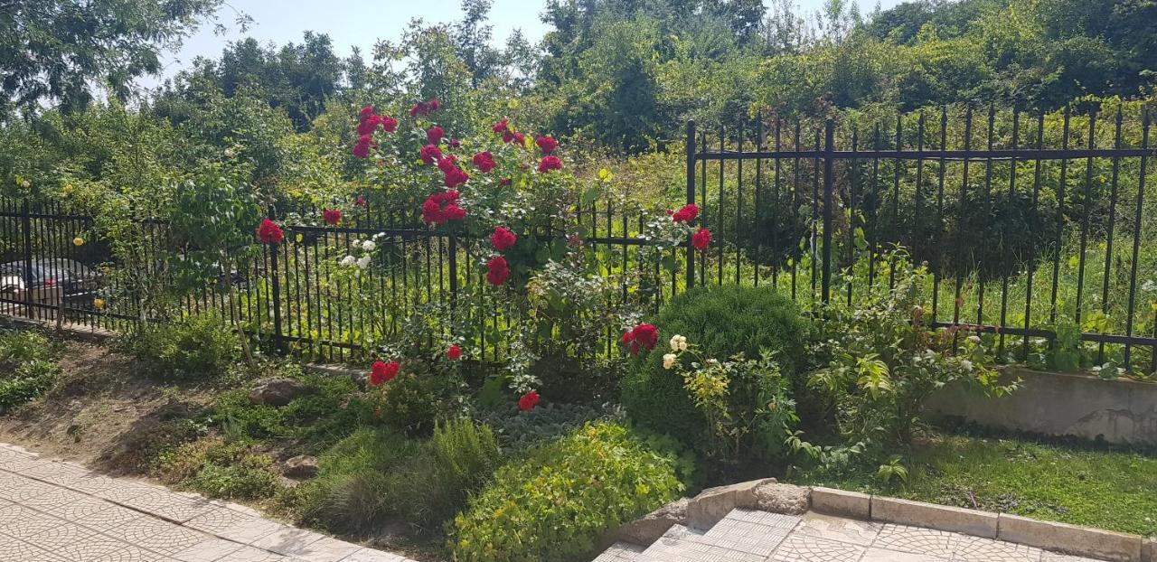 Harmony Hills Kolevi Apartments Рогачево Екстериор снимка